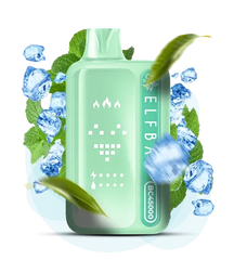 ELFBAR BC45000 - Double Mint